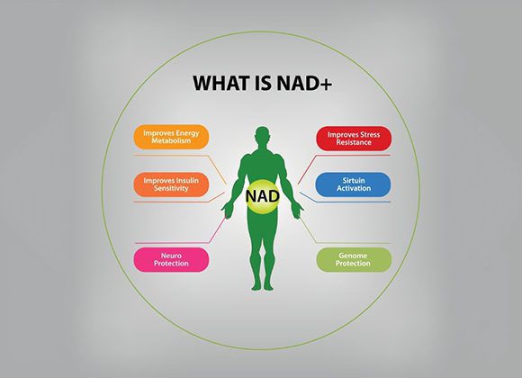 NAD+ IV Therapy